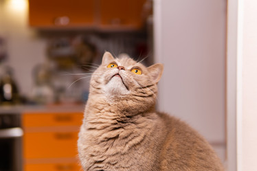 Similar image 21751948