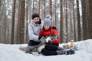 Similar image 21753713