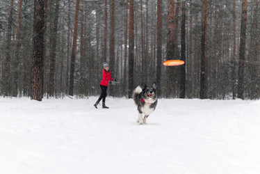 Similar image 21753716