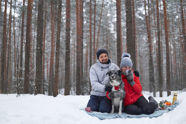 Similar image 21754538