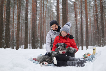 Similar image 21755329