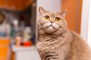 Similar image 21753721