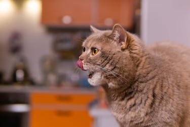 Similar image 21753723