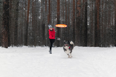 Similar image 21756720