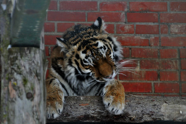 Similar image 21751794