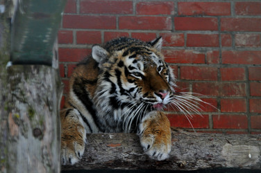 Similar image 21751795