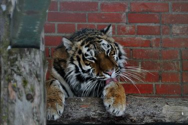 Similar image 21751796