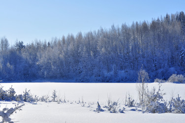 Similar image 21751799