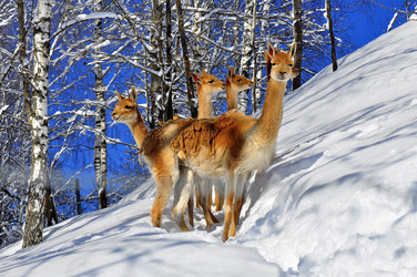 Similar image 21751800