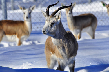 Similar image 21751801