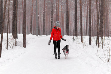 Similar image 21756938