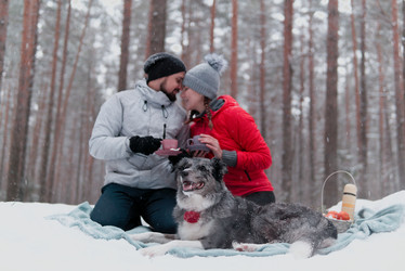 Similar image 21756941