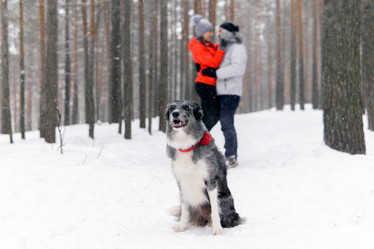 Similar image 21756947