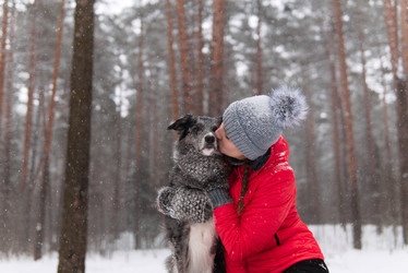 Similar image 21756950