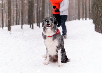 Similar image 21756952