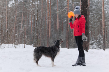 Similar image 21757227