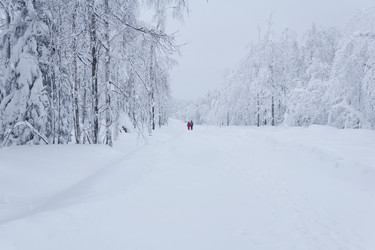 Similar image 21755591