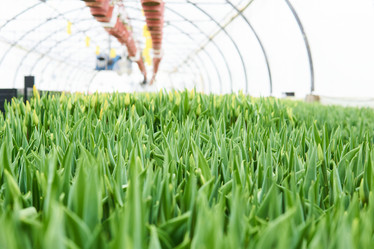 Similar image 21755595