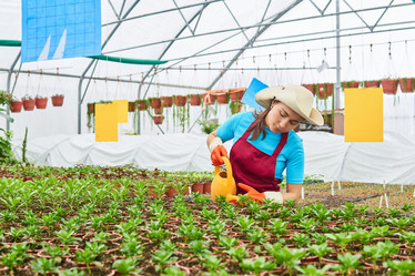 Similar image 21757231