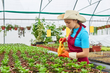 Similar image 21757238