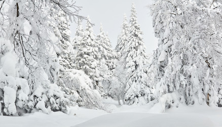 Similar image 21756362