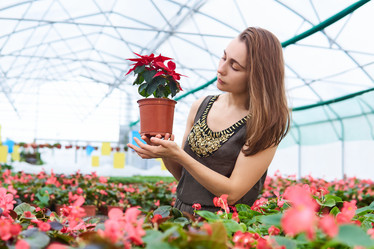 Similar image 21757246