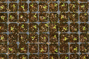 Similar image 21756364