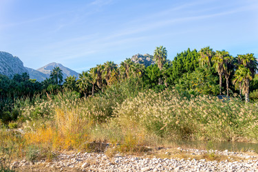 Similar image 21756548