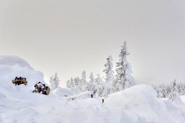 Similar image 21756549