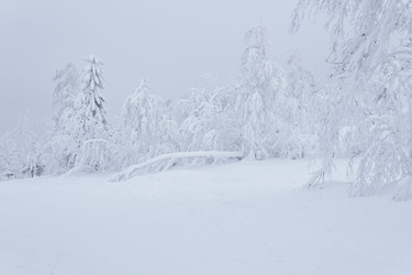 Similar image 21756554