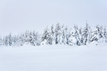 Similar image 21751851