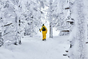 Similar image 21754542