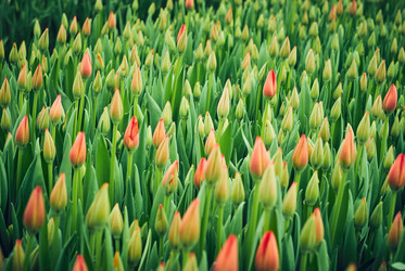 Similar image 21753314