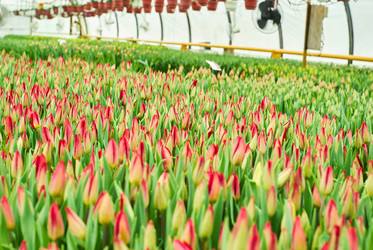 Similar image 21754317