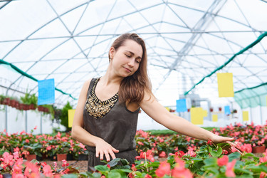 Similar image 21756954