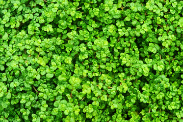 Similar image 21754544