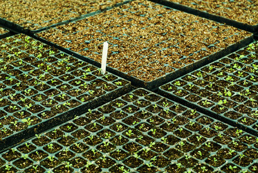 Similar image 21754546