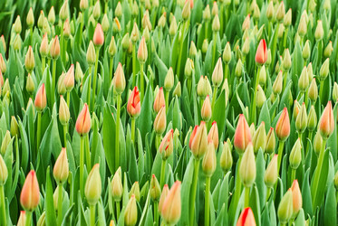 Similar image 21754547