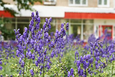 Similar image 21754749