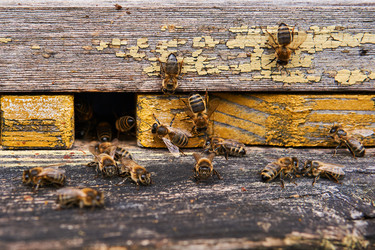 Similar image 21756562