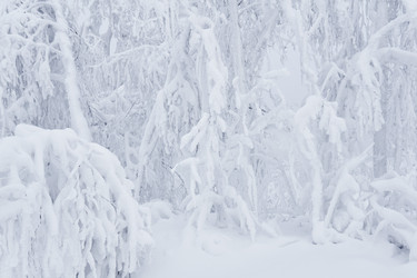 Similar image 21756564