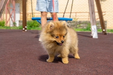 Similar image 21753733