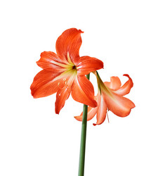 Similar image 21753934