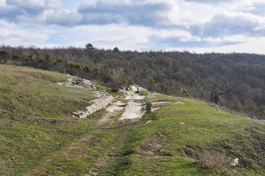 Similar image 21753937