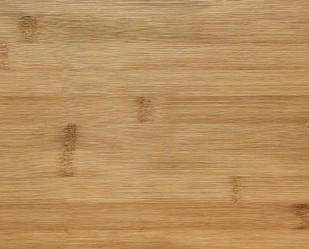 Similar image 21754554