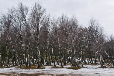 Similar image 21755784