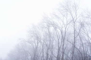 Similar image 21756184