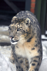 Similar image 21751484