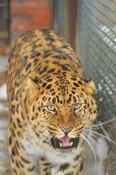 Similar image 21751643