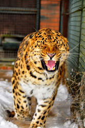 Similar image 21751644